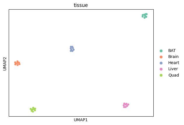 ../_images/tutorials_bludau-2021_tissue-specific-proteoform-inference-across-five-mouse-organs_40_1.png