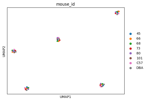../_images/tutorials_bludau-2021_tissue-specific-proteoform-inference-across-five-mouse-organs_40_2.png